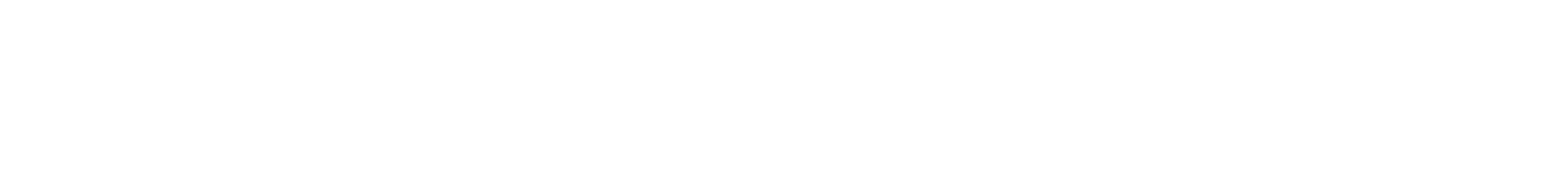 Leader Ambulance Logo